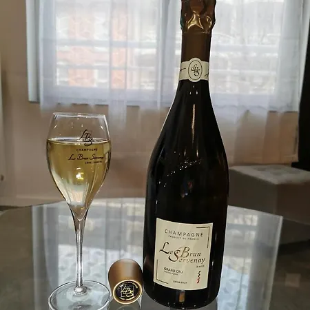 Champenois Garage Privatif Hypercentre 6 Pers * Épernay